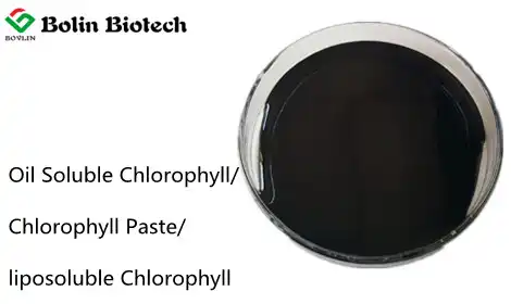 What is Oil soluble chlorophyll used for?